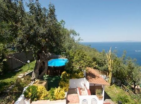 Villa Panorama Massa Lubrense Eksteriør bilde